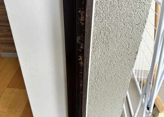 Oprava poškozených dřevěných rámů oka a balkonových dveří